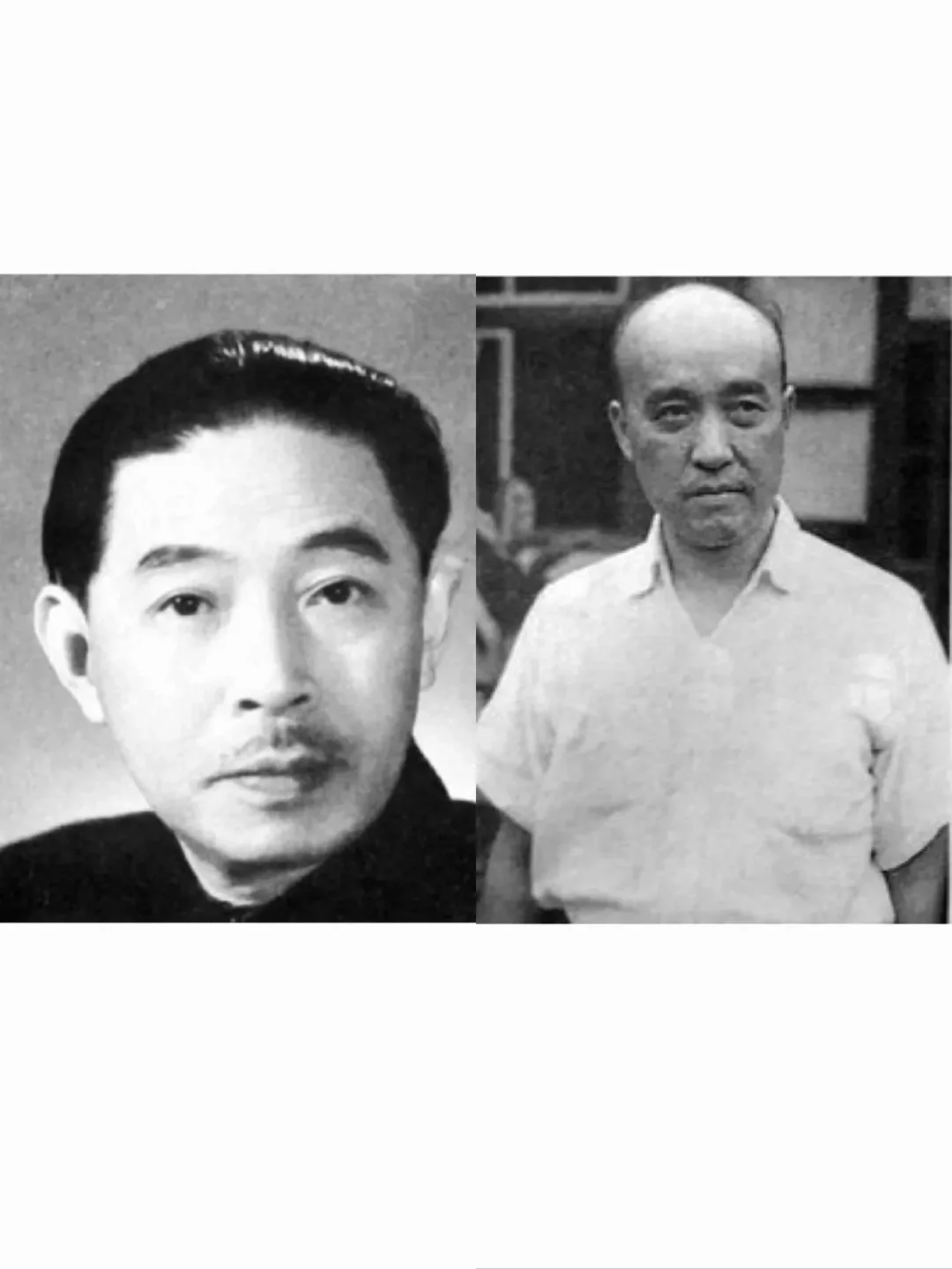 茅盾与胡风吵架非常狠，谁也看不惯谁。茅盾在言语上抨击胡风，胡风耿耿于怀...