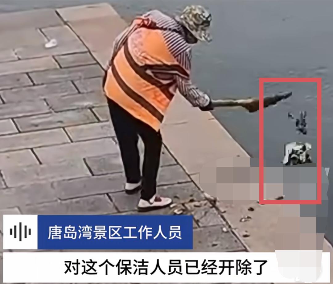 我大姨就是一名城市环卫工！
大姨说青岛这个把垃圾被扫入大海的环卫工，被开除就是活
