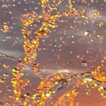 阳光信用 1800我们日行一善，并不是放下手中一切事情，刻意地去做好事，而是带着