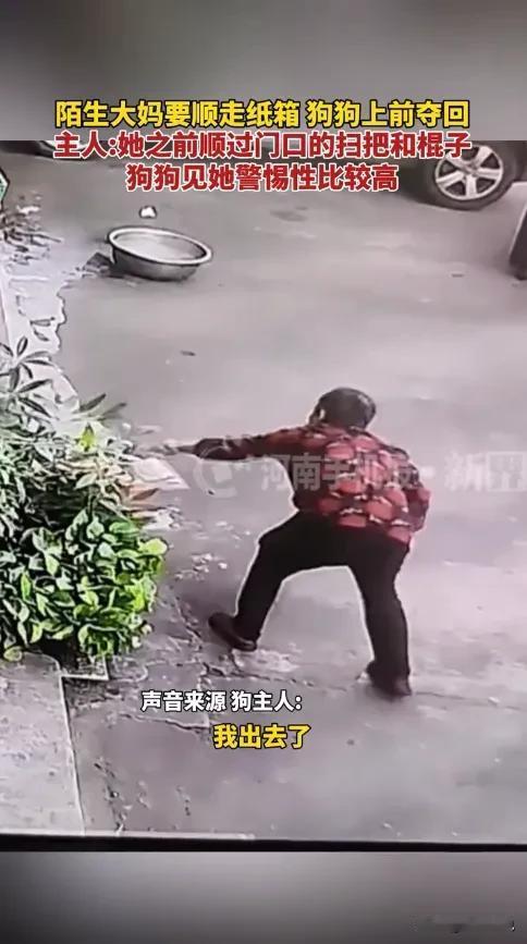 “活不起了？”11月25日，广东佛山，一老太路过店门口时，看到一旁放着空箱子，但