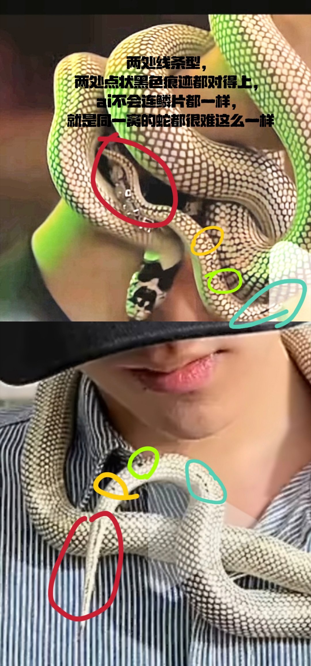 其实我很害怕🐍。。。。。越看越渗人[苦涩] ​​​