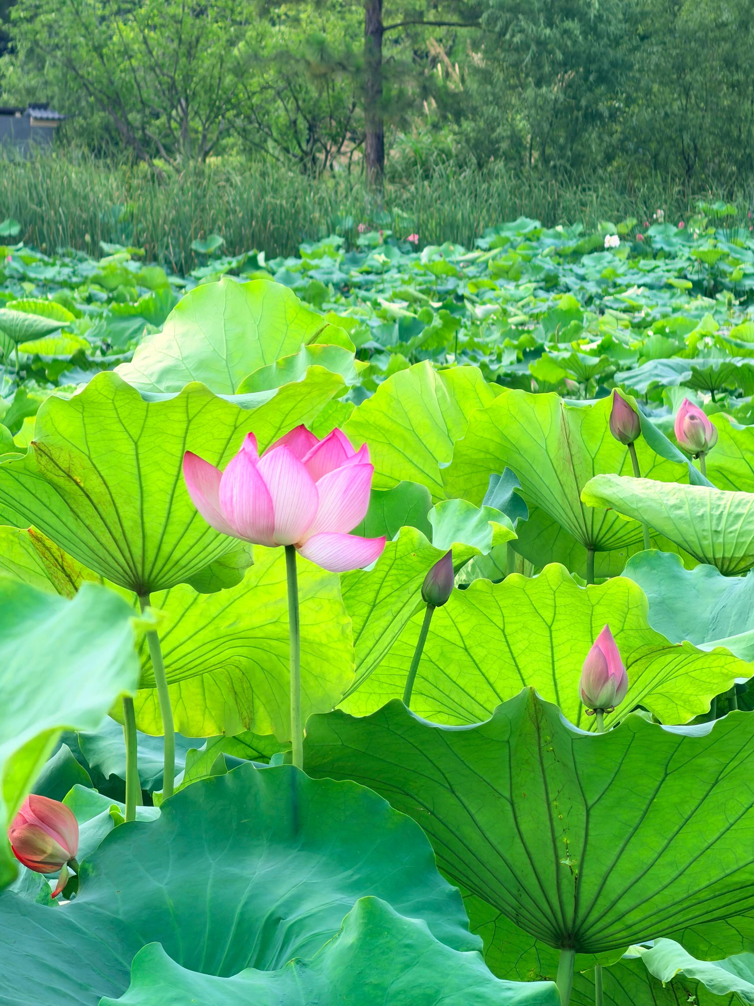 一整个夏天的气息啊～～ 