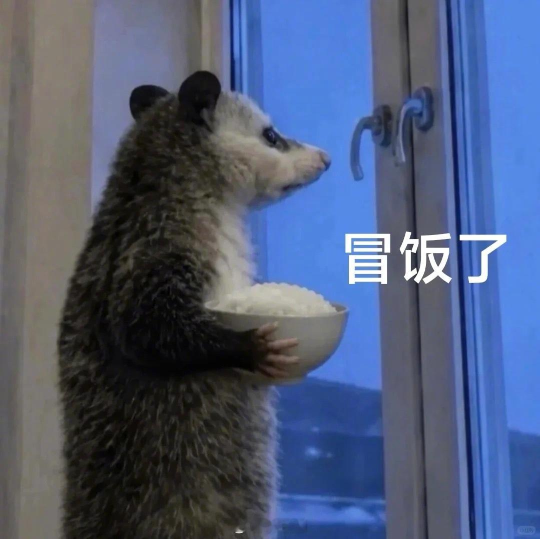负鼠 表情包当红顶流18宫格都不够放！！ 