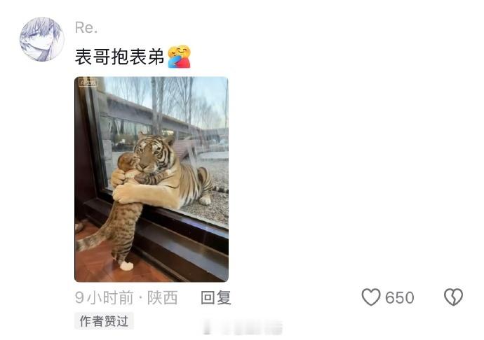 表哥，这就是你说的城里的体面工作吗哈哈哈哈哈 