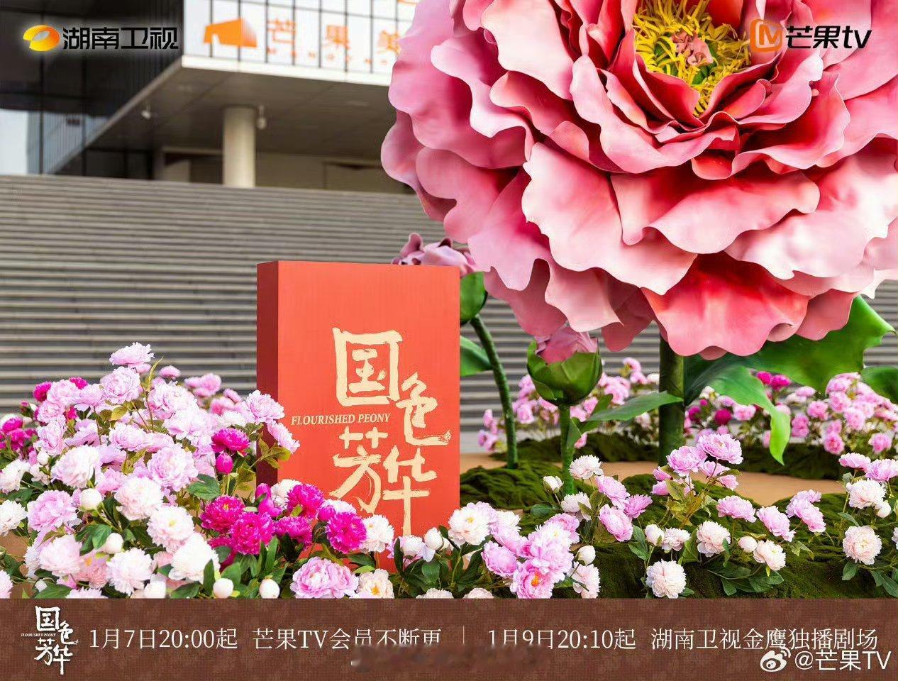 国色芳华播出排面 杨紫，李现《国色芳华》开播排面🈶 