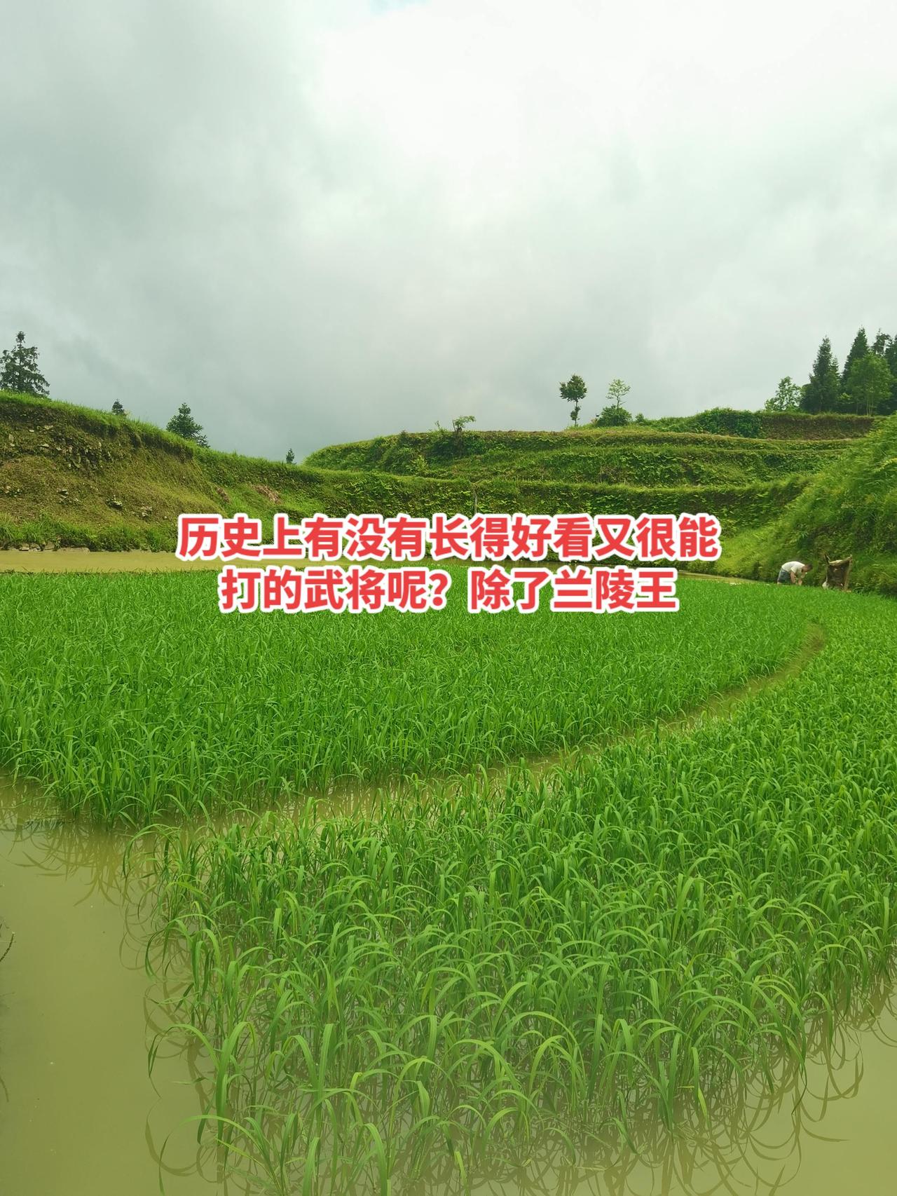 历史上有没有长得好看又很能打的武将呢？除了兰陵王
兰陵王：历史对他的评价是“貌柔