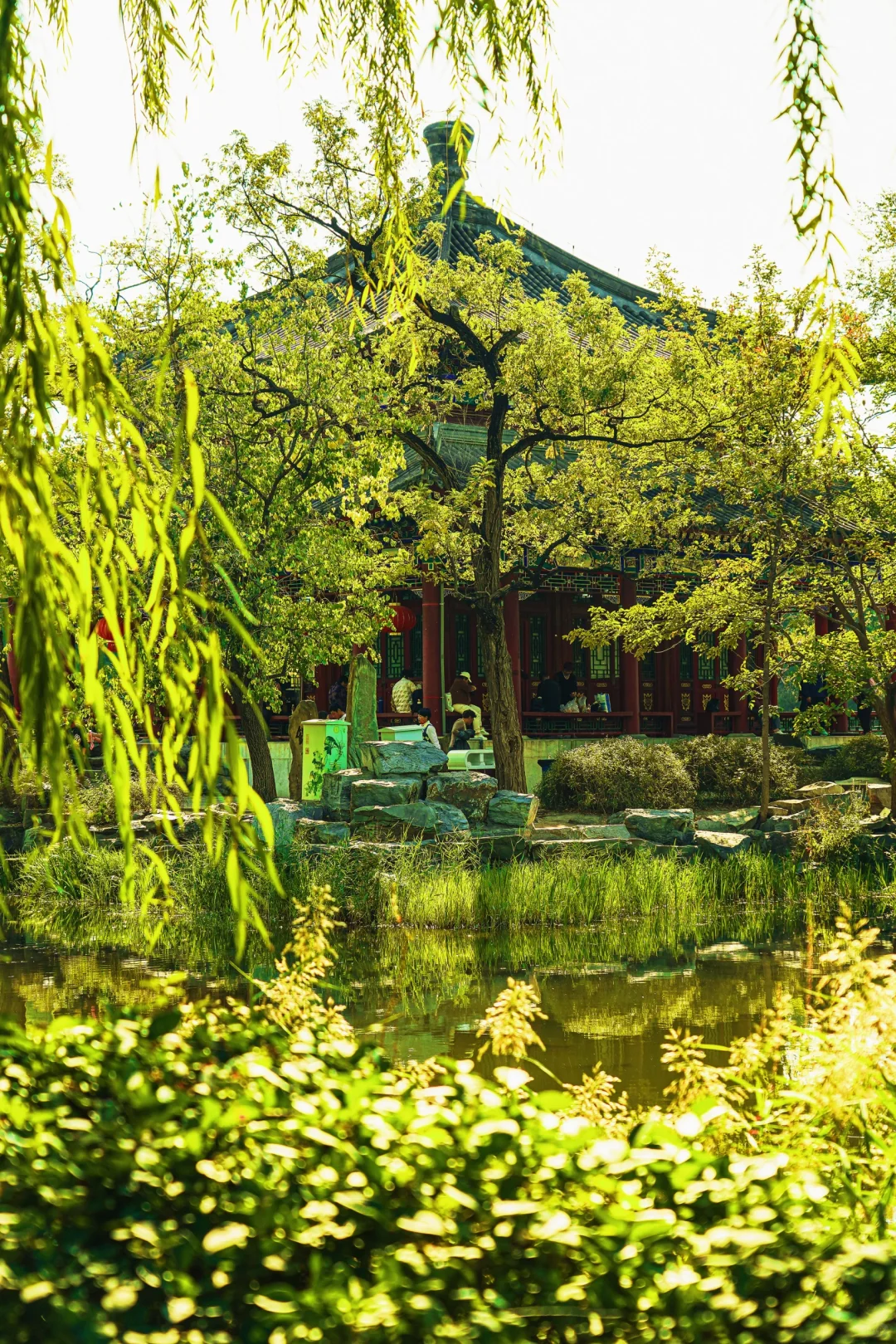 10.11北京油画般秋天来得有点梦幻！附攻略