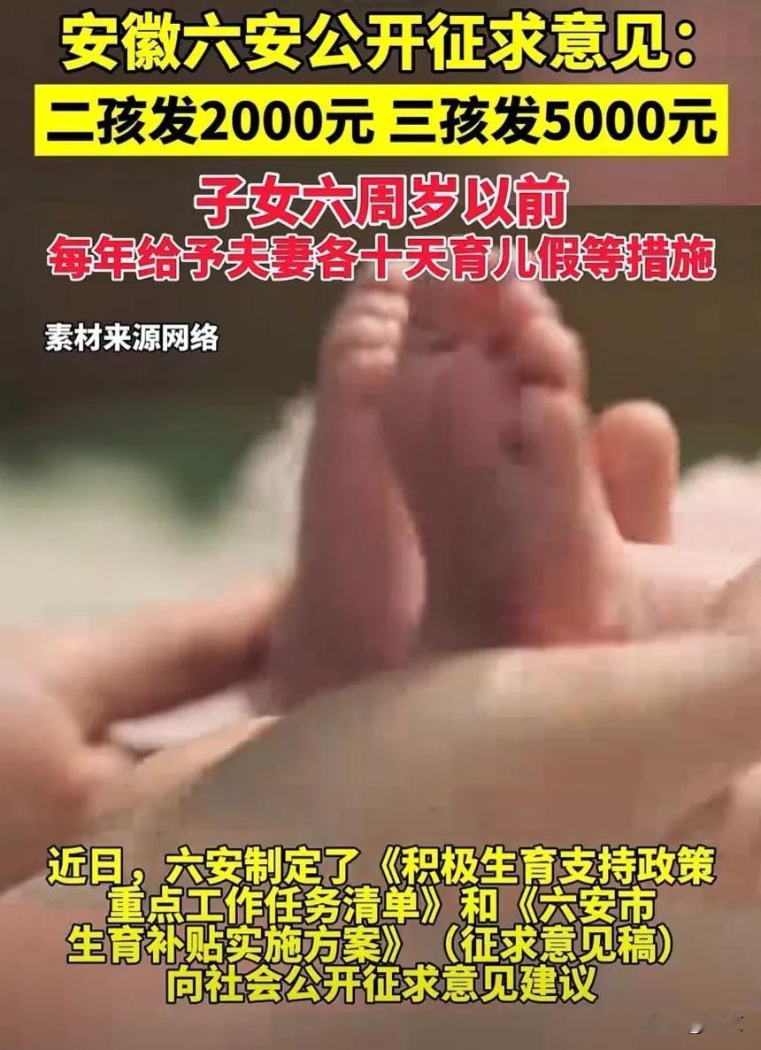 安徽六安一周前公开征求意见：

补贴标准为生育第二个子女，给予不少于2000元的