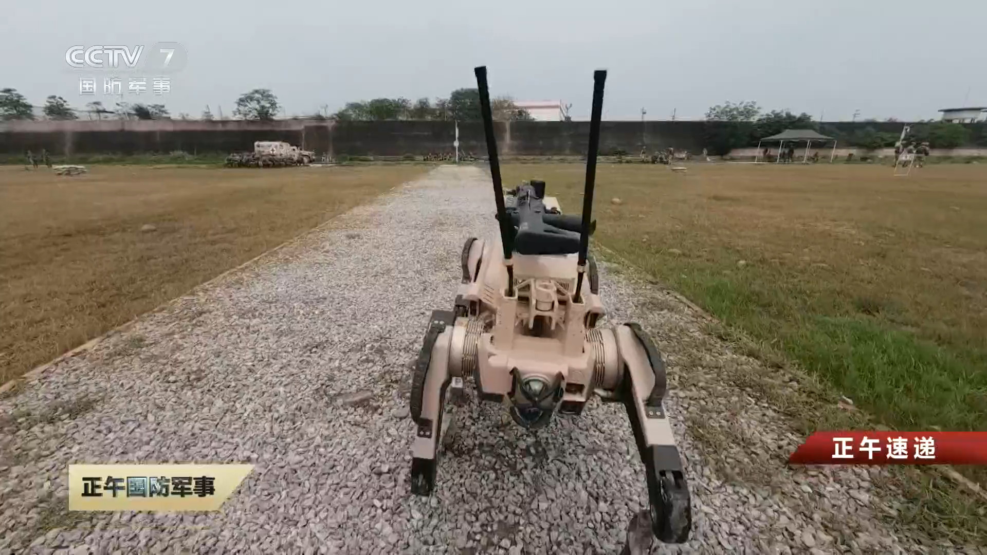 每天认识一件兵器 陆军某旅开展机器狼实弹射击训练 