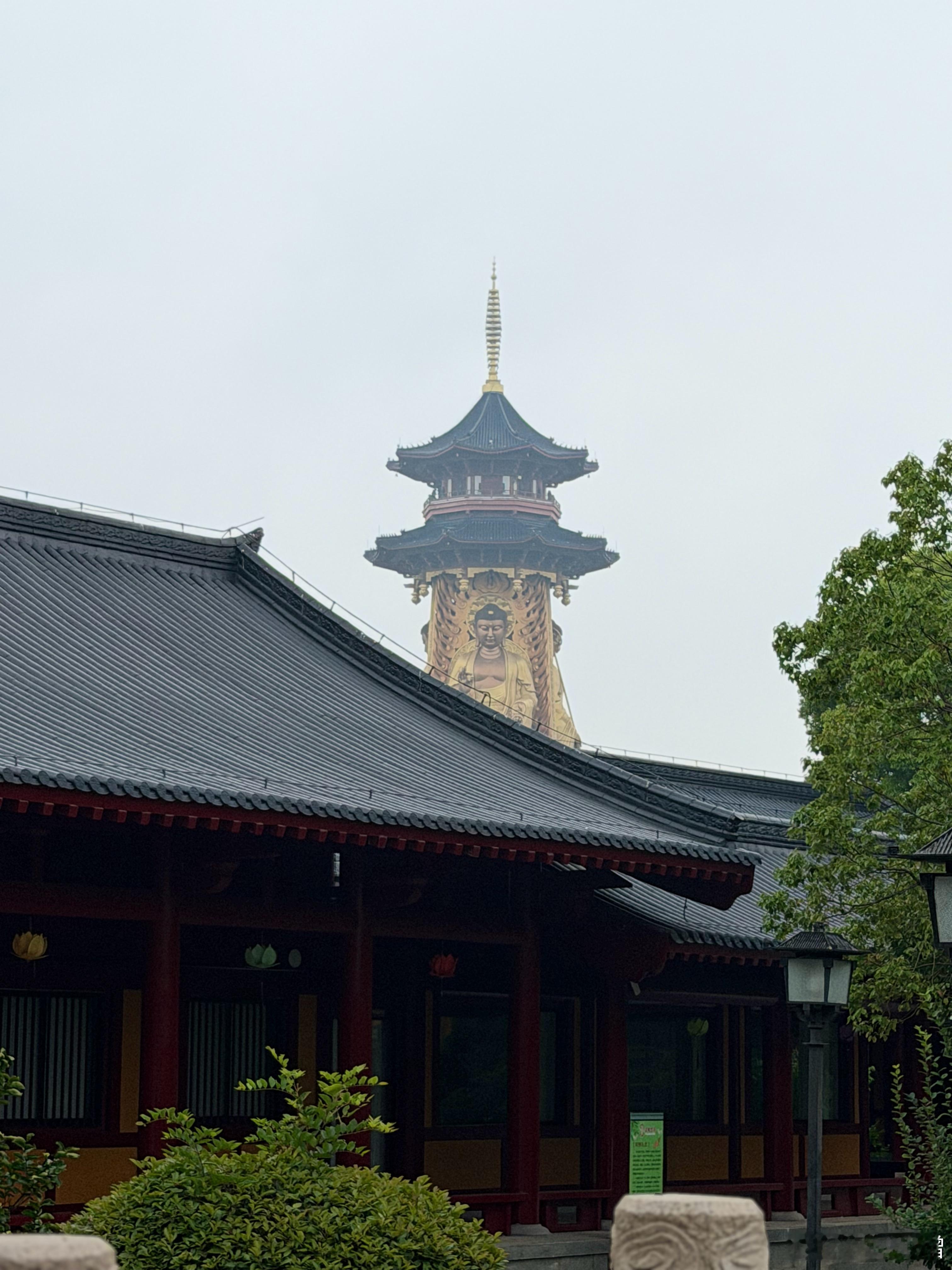 佛教  师父说：人之所以深陷苦痛，皆因智慧不足，错把无常世事当作永恒，生出执着期