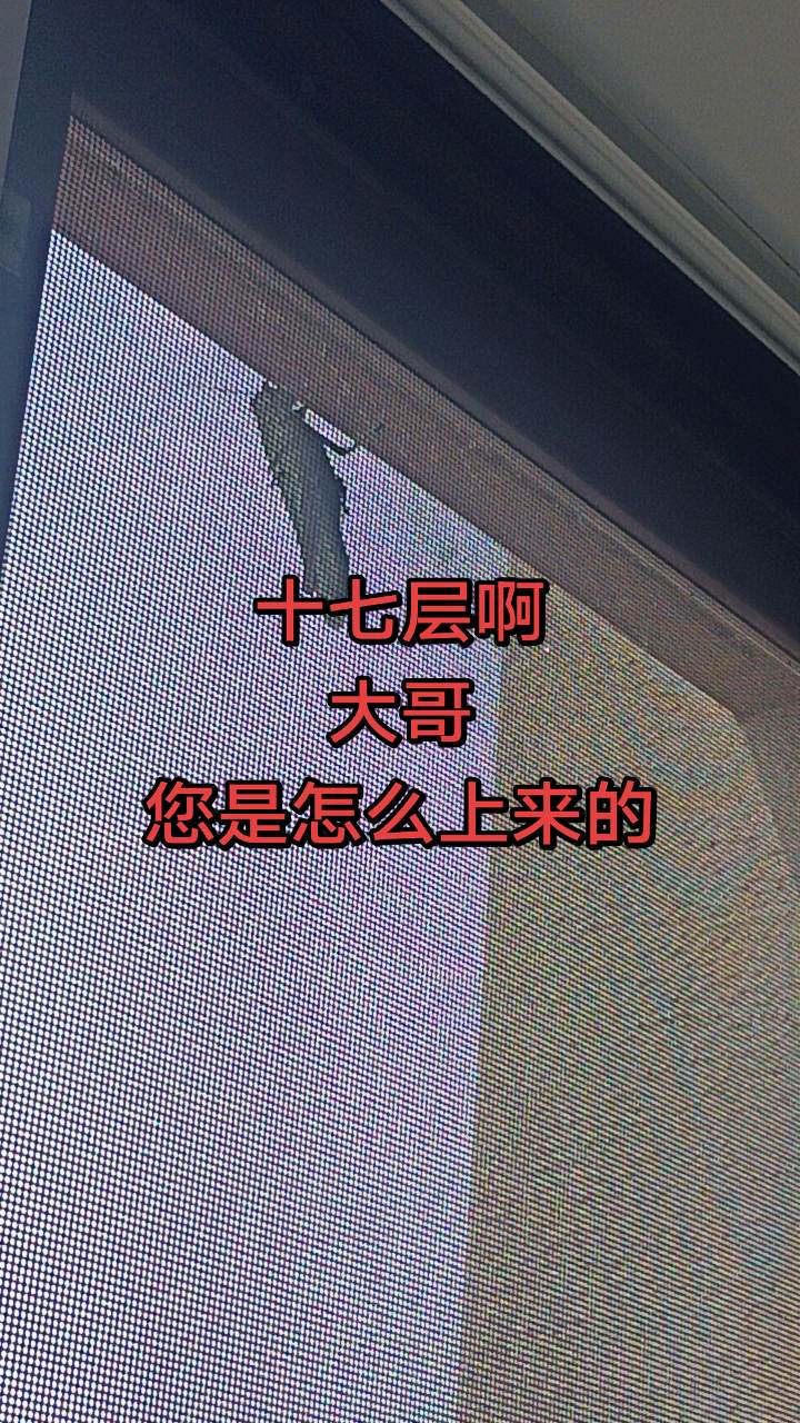 这个大哥居然爬了十七层