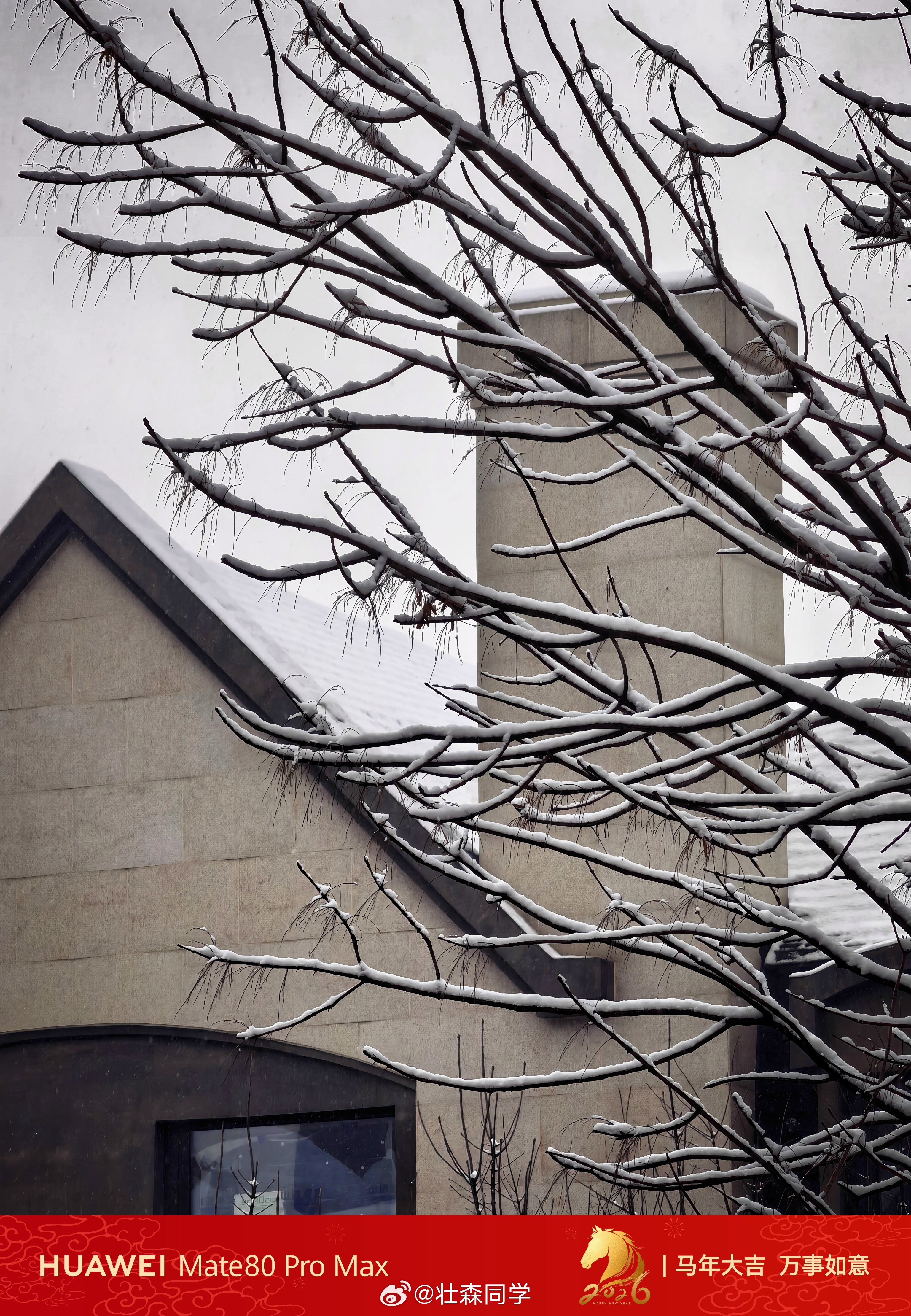 天津3月竟然下大雪啦天津下雪