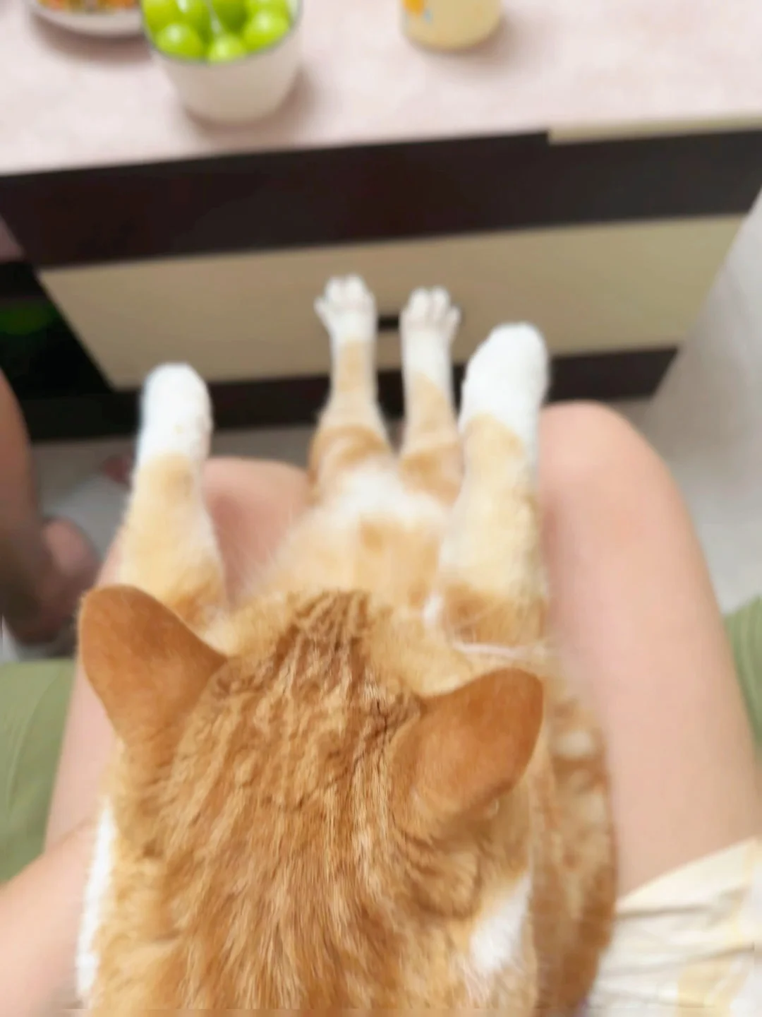 哈哈哈宝宝你绷得也太直了