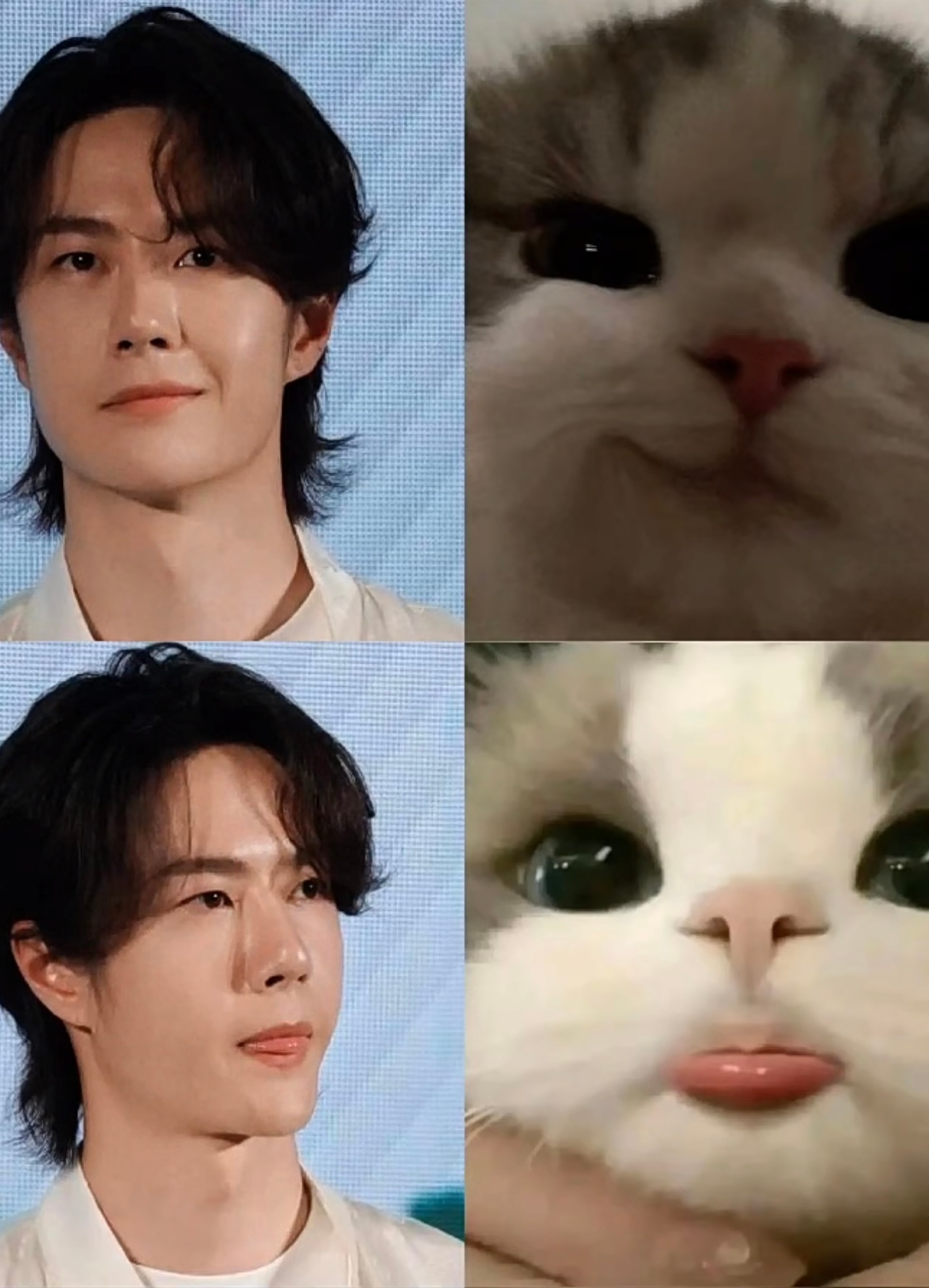 又萌又可爱 ​​​