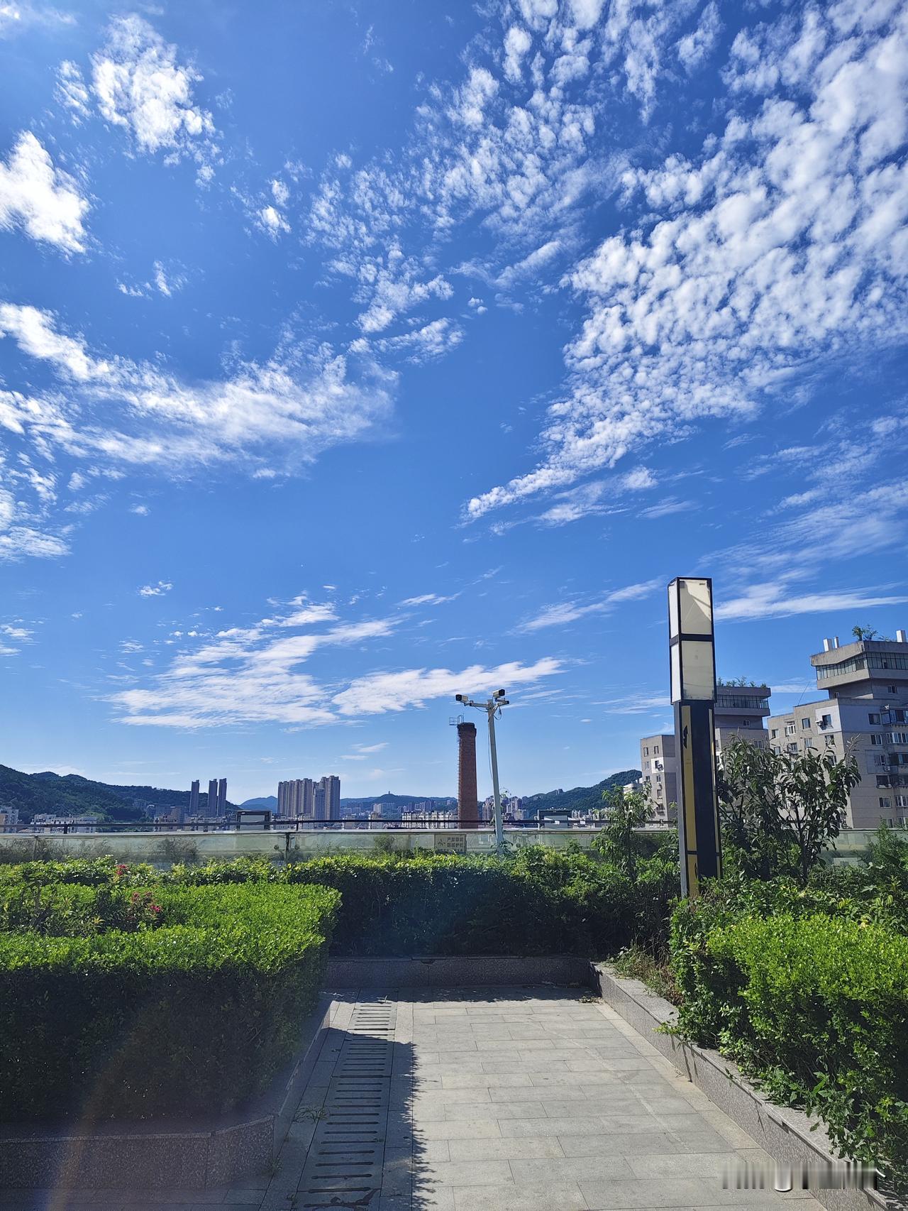 今天回村送些衣服，叫了半天车叫不得，只好坐公交坐到半路了，在职业学院那叫个车。
