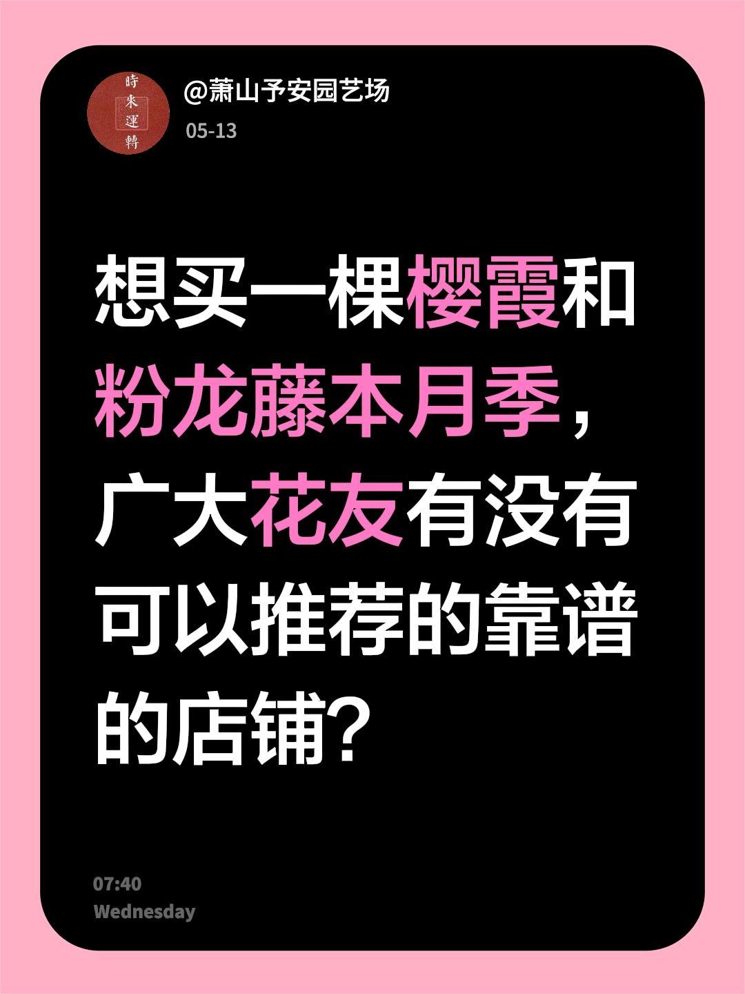 想买一棵樱霞和粉龙藤本月季，广大花友有没有可以推荐的靠谱的店铺？真实生活分享计划