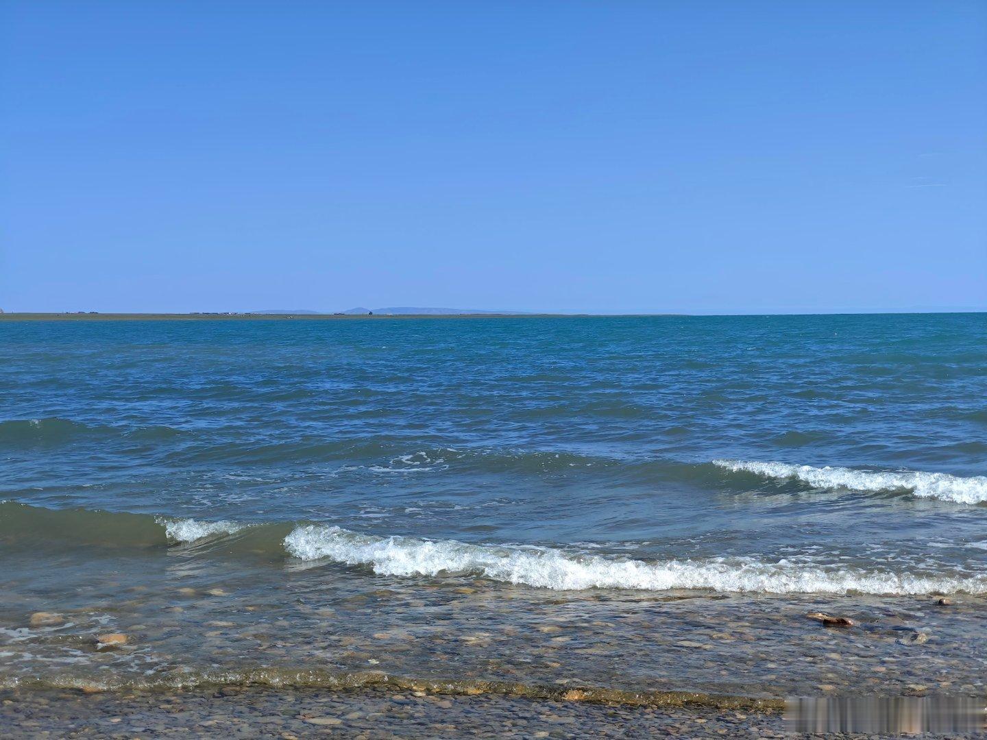 青海湖黑马河 
