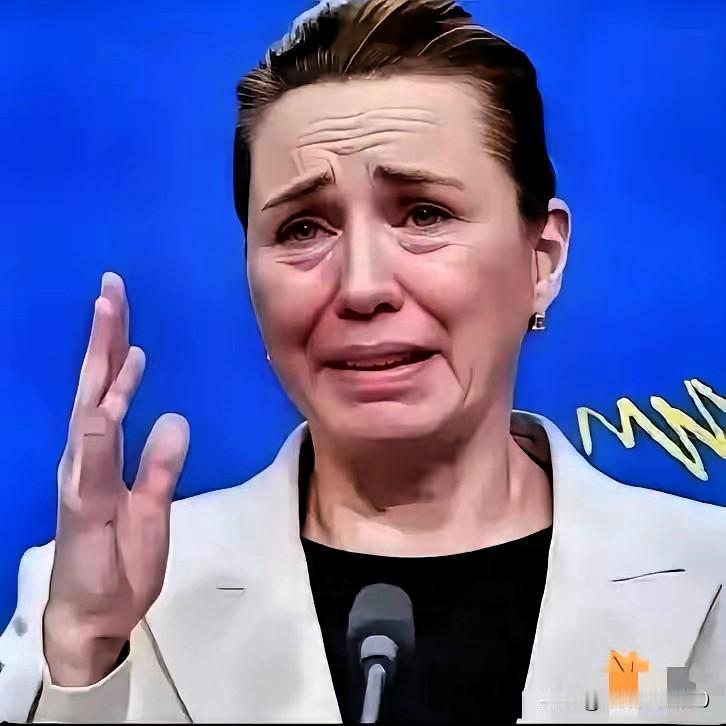 丹麦政府痛恨中国
丹麦的外交大臣拉斯穆森：过去不允许中国对格陵兰岛投资，现在不会