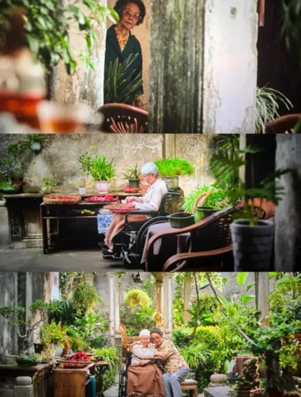 李现、韩寒、陈妍希、孙艺洲、阿云嘎、贾玲、张凯丽等一众明星自发站台力挺，《给阿嫲