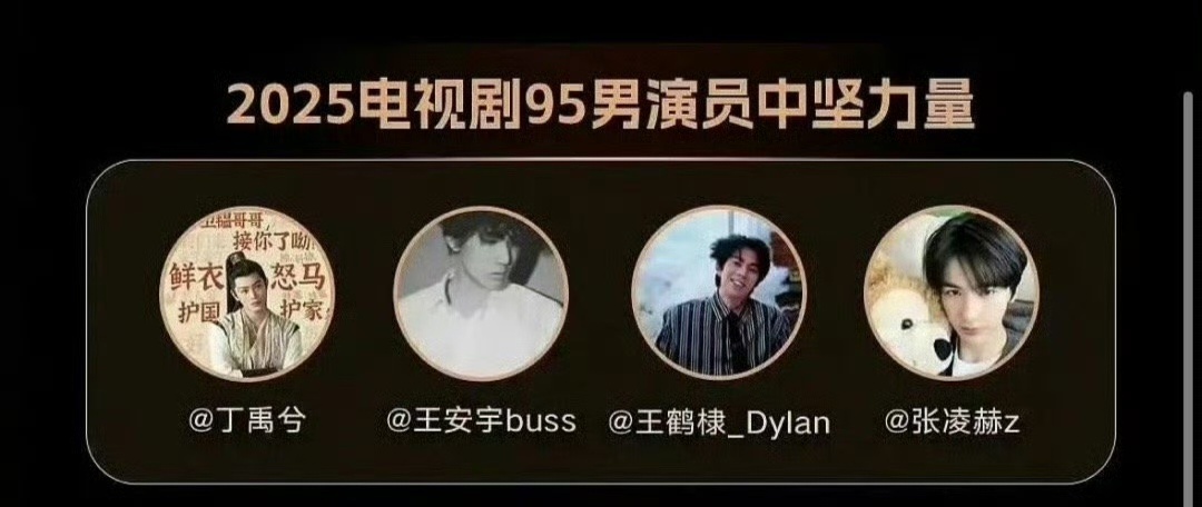 新浪评选的95男女演员中坚力量：95生🥜: 丁禹兮 王安宇 王鹤棣 张凌赫95