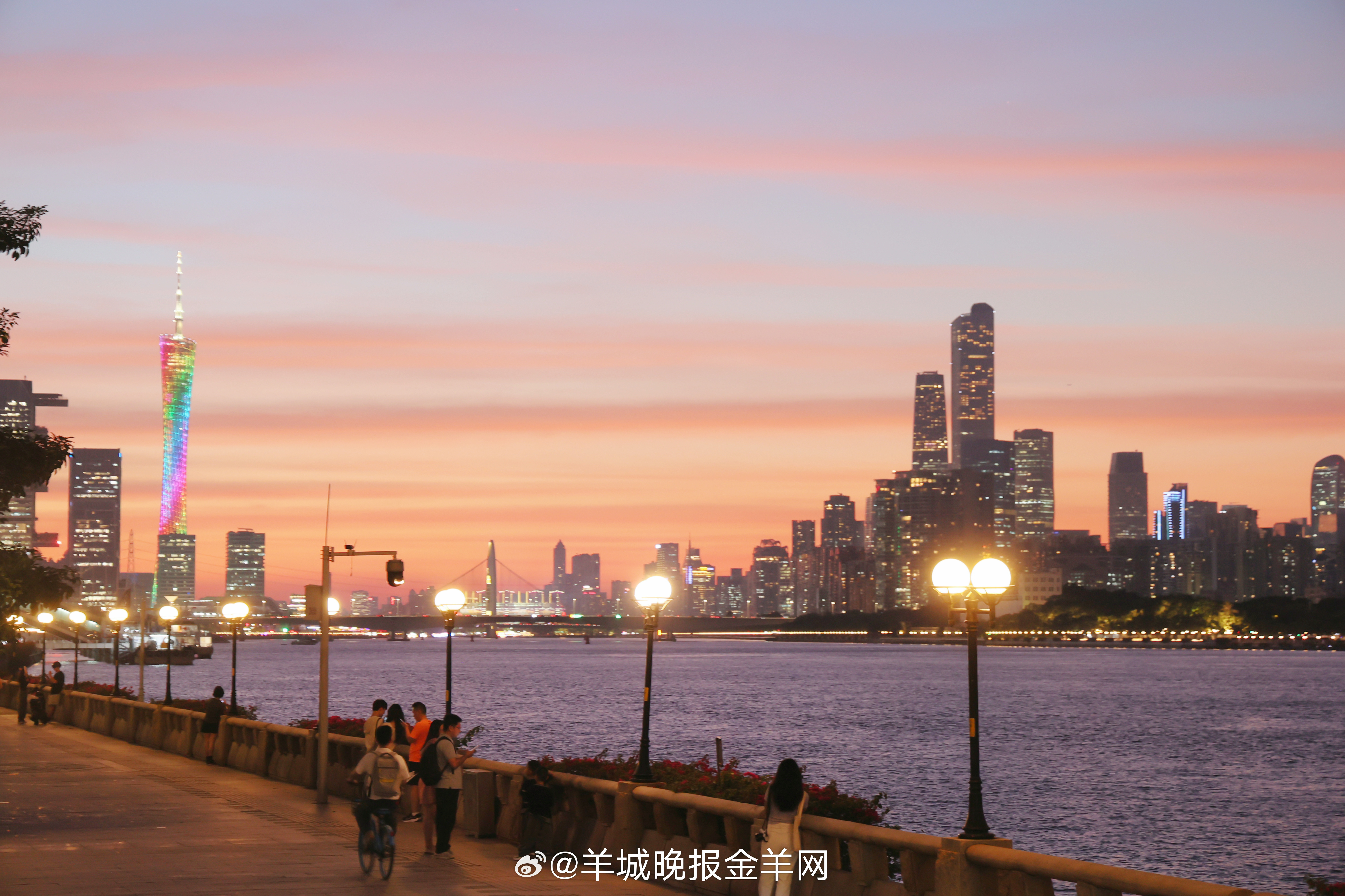 #晚安#这一年，你走过平坦的大道，也走过曲折的小路，但你走过的每一步路都算数。正