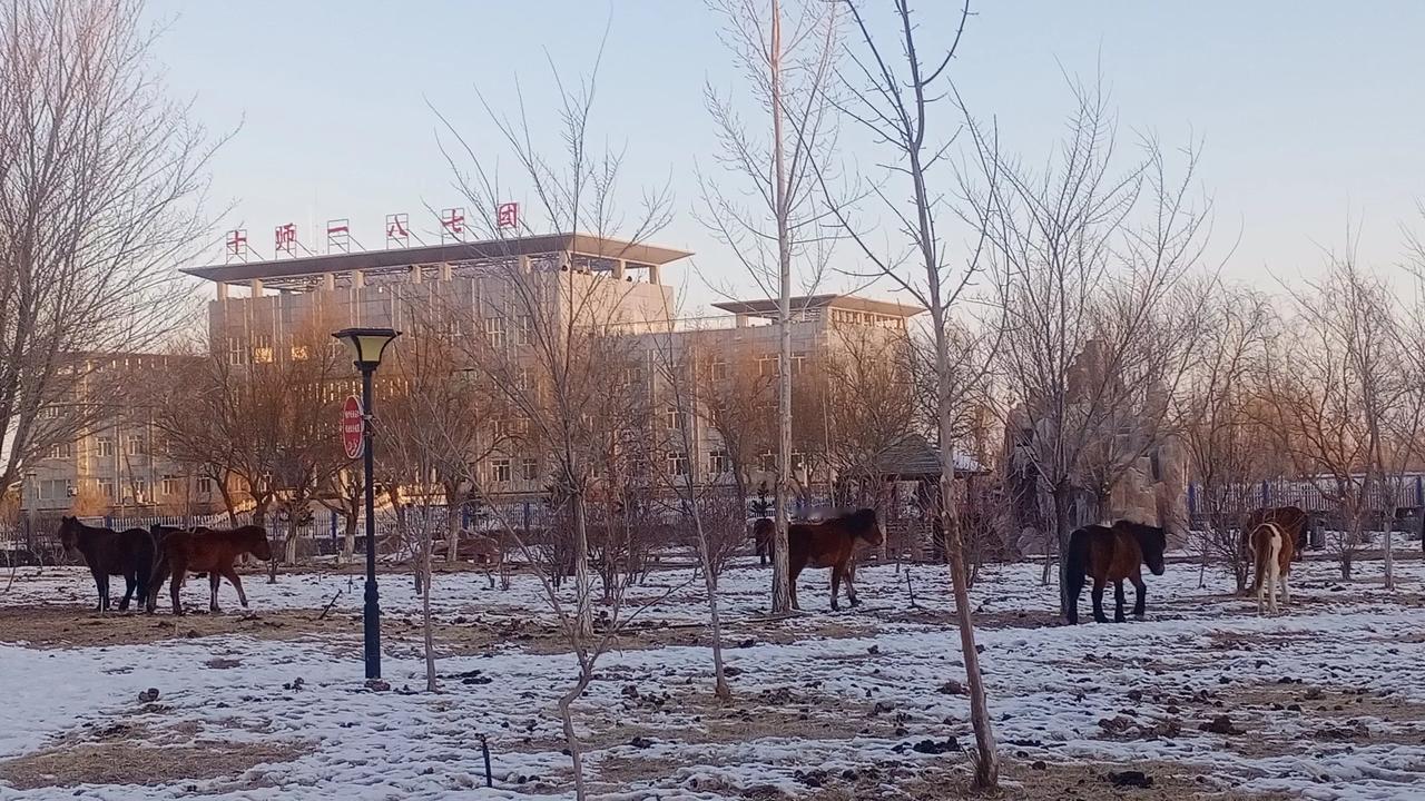 晒出你路上遇到的美景新疆新疆兵团第十师北屯市一八七团