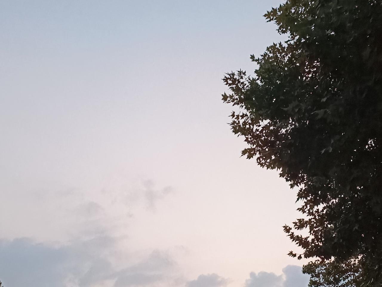 孝敬父母是做子女的责任，也是人生的某种意义所在。
今晚的调和饭是我亲自做的，母亲