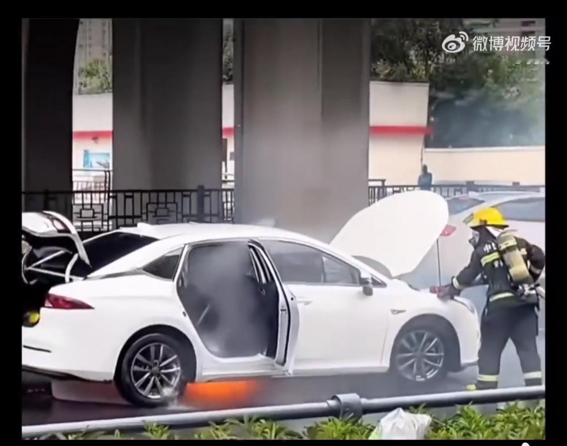 搞笑，安徽合肥消防员车头灭火，一帮人车尾扣车标。新势力的车，只要出事，第一件事就