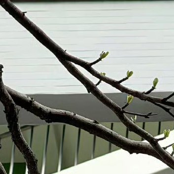 每日一善‎每日一善 ‎阳光‎信用 努力去做一个温暖的人,用真心对世界微笑,用眼泪