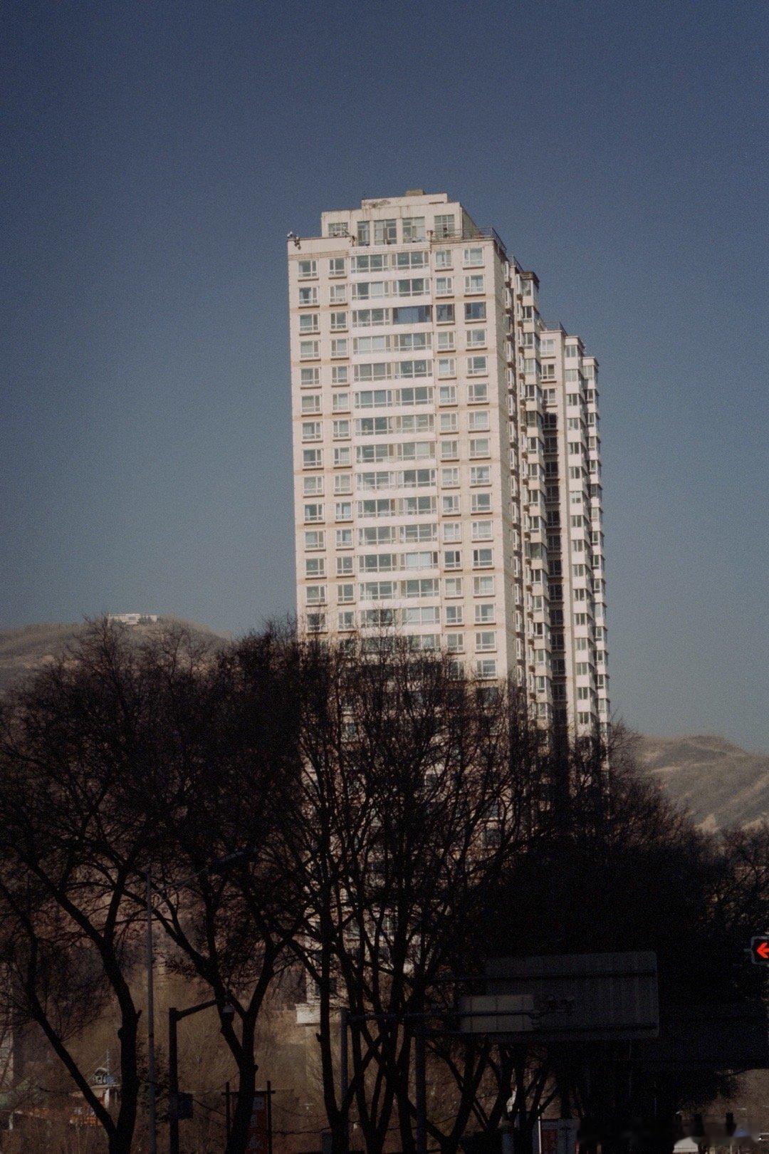 周记：一个字“干” 