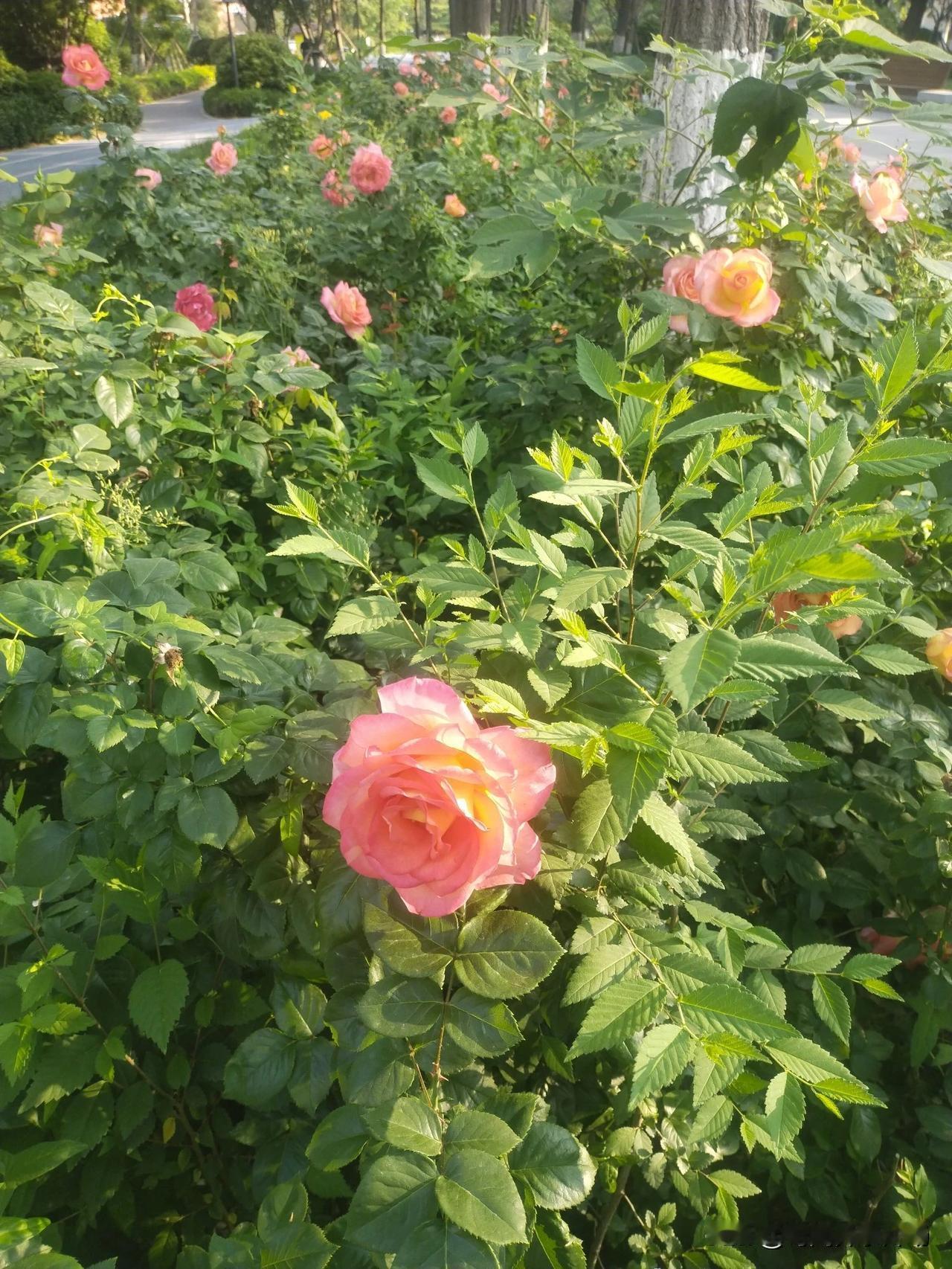 #孩子随母姓，你同意吗#同意呀，别人家的事情，轮得到我同意不同意？[我想静静]
