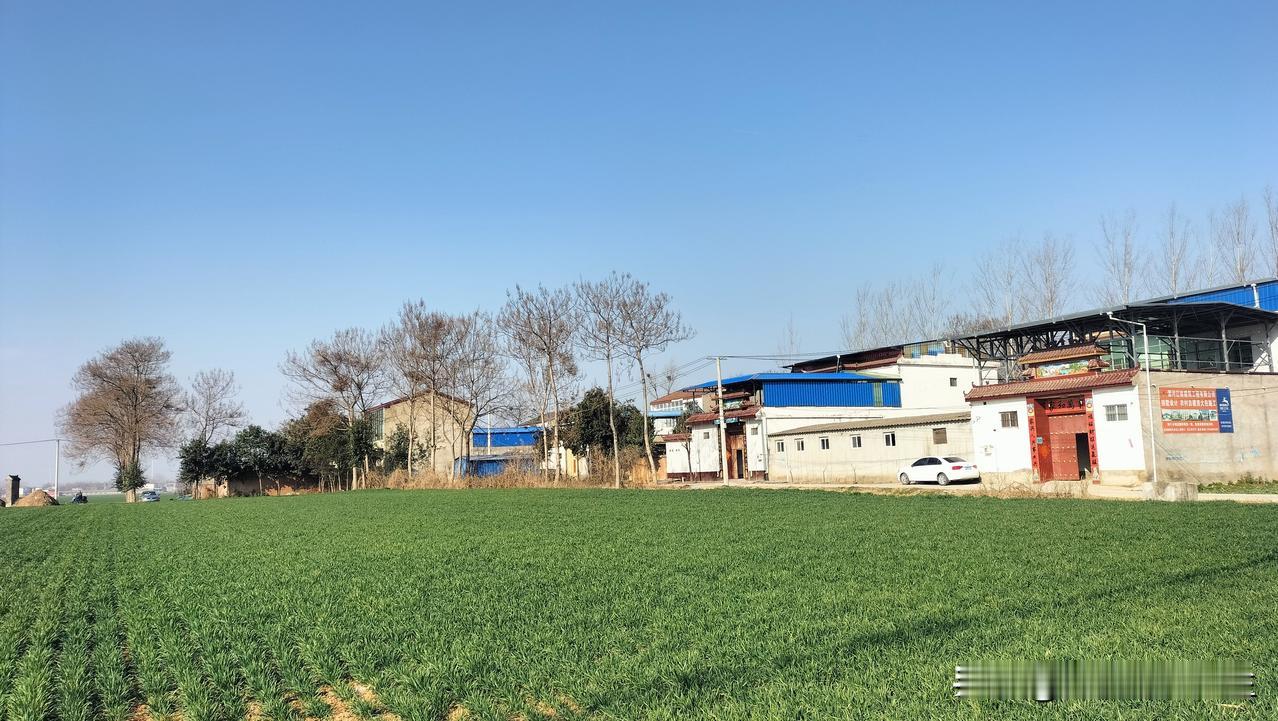 昨天，舟漁大哥发微头条说，老家准备重建祠堂、重修祖坟，极力邀请他回去帮忙筹备。