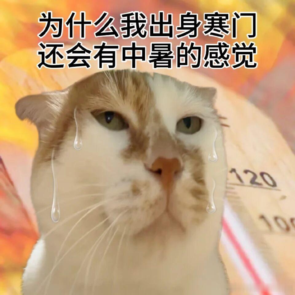 已经有快两个月没有喝奶茶了不管了今天奖励自己一杯 