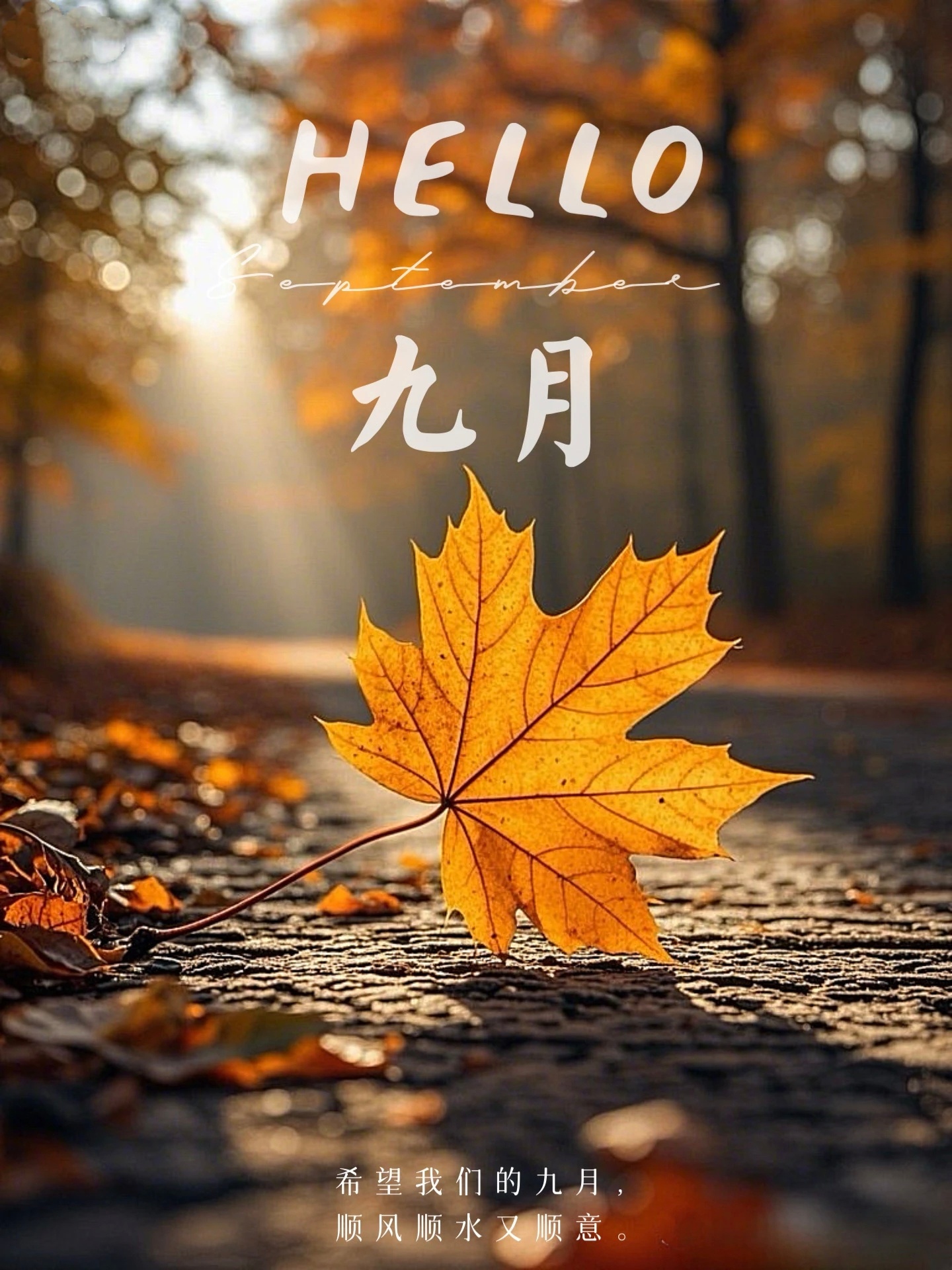 🍁²⁰²⁵/₀₉.₀₁ ◡̈九月第①天，立个flag，不再熬夜。[许愿星][许