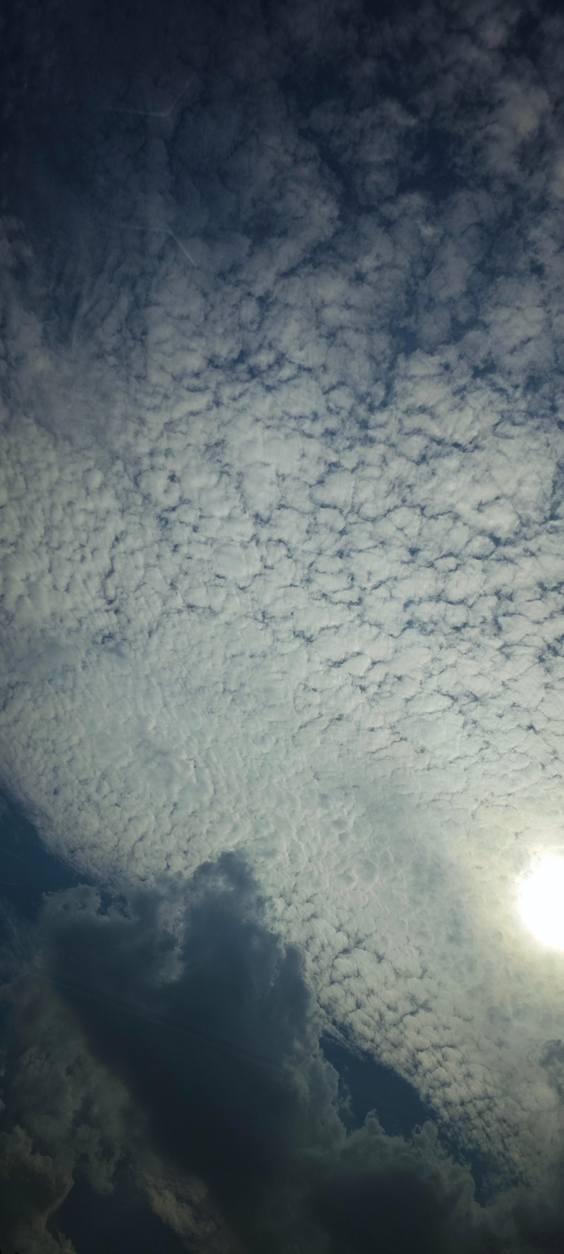 农历六月二十，你们看看今天的云怎么样？#新星闪光计划#  ​​​