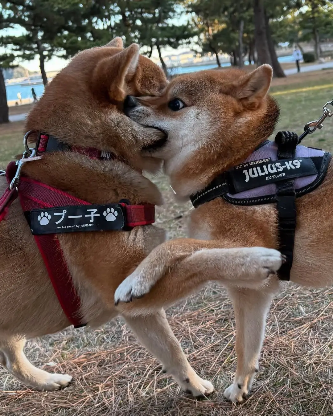 老乡见老乡