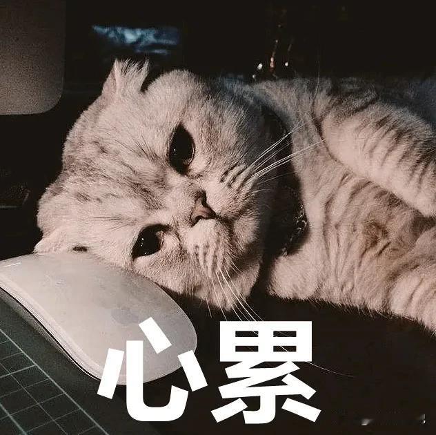 我是看开了，一大家子都等着一个人炒菜做饭，干家务。我也摆烂了，管他们爱怎么样，就