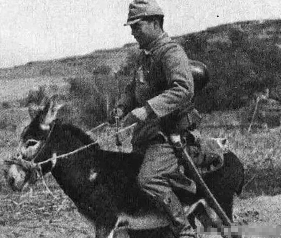 1942年，战士们扛着两个麻袋回到八路军司令部。秦基伟一听抓到日军俘虏，高兴不已