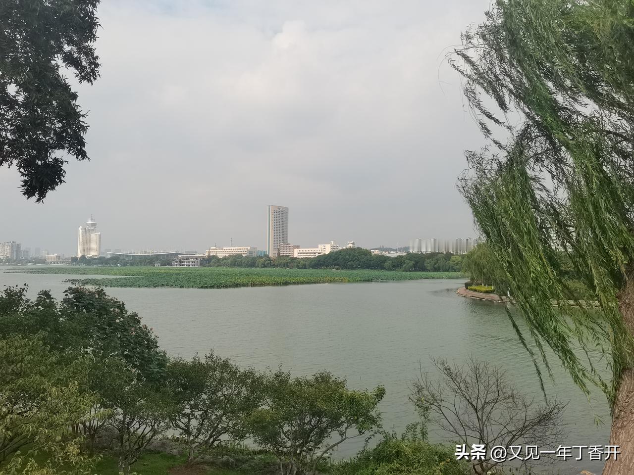 玄武湖走了半圈

这一年多就没怎么撩开蹄子飞奔，一直受腰腿困着。

今天终于按耐