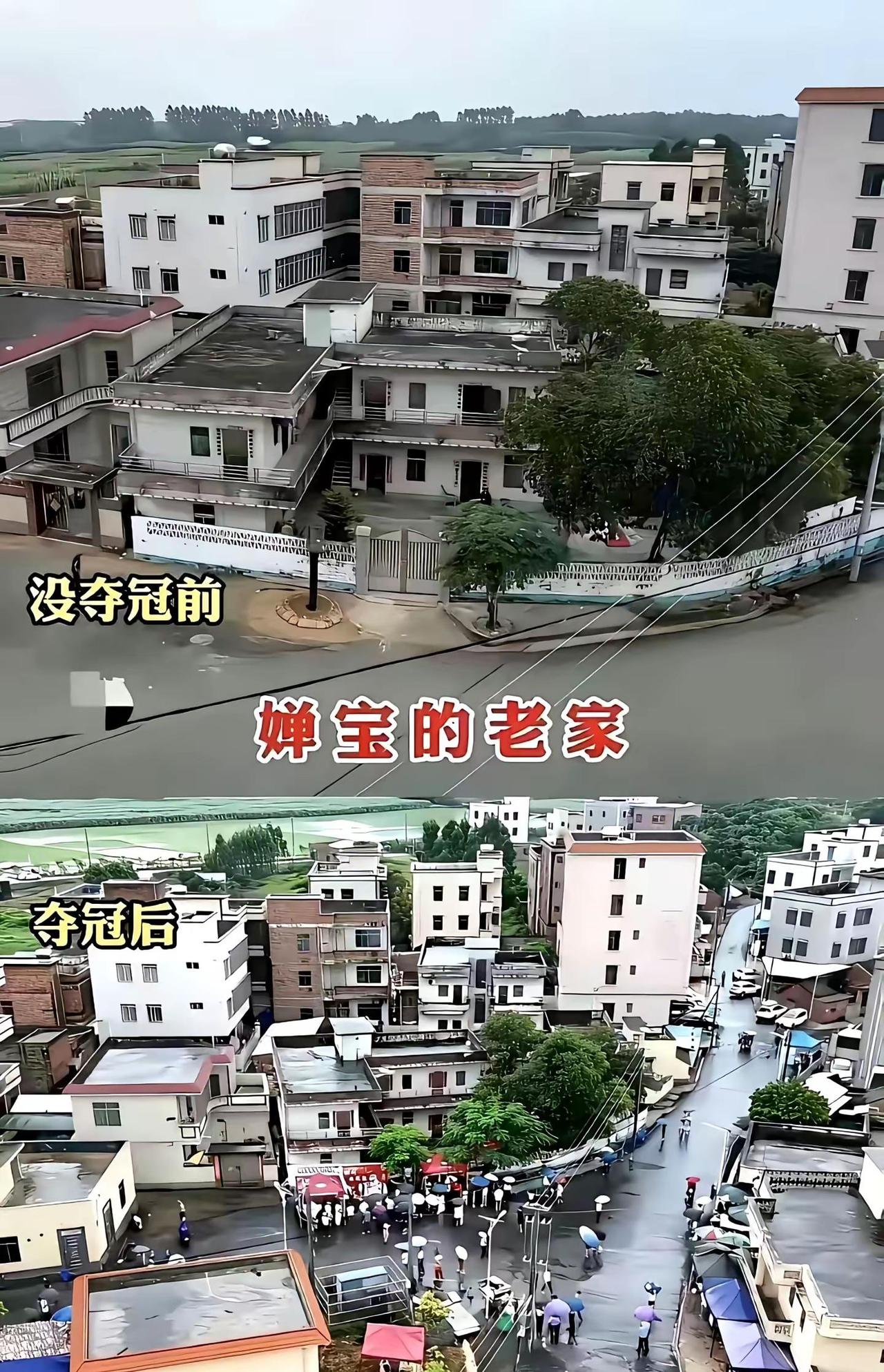 从迈合村的雨巷，到世界跳水的巅峰 谁能想到，湛江迈合村那片曾经安静的乡野，会走出