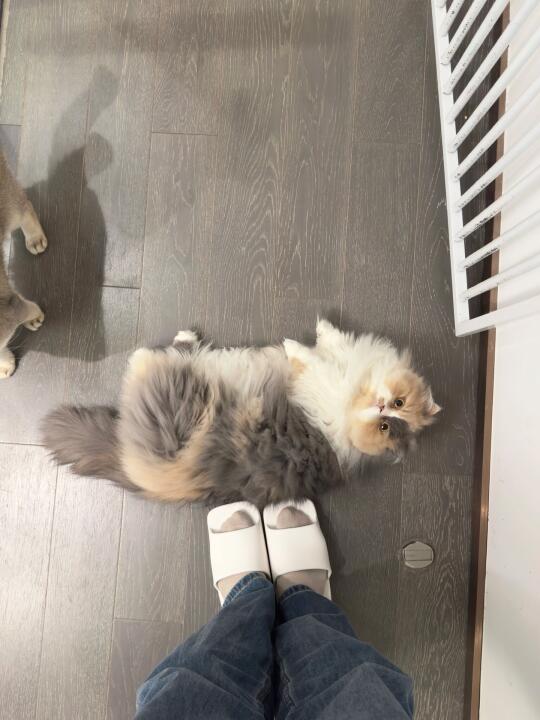 人 、你看咪能为这个家做些什么