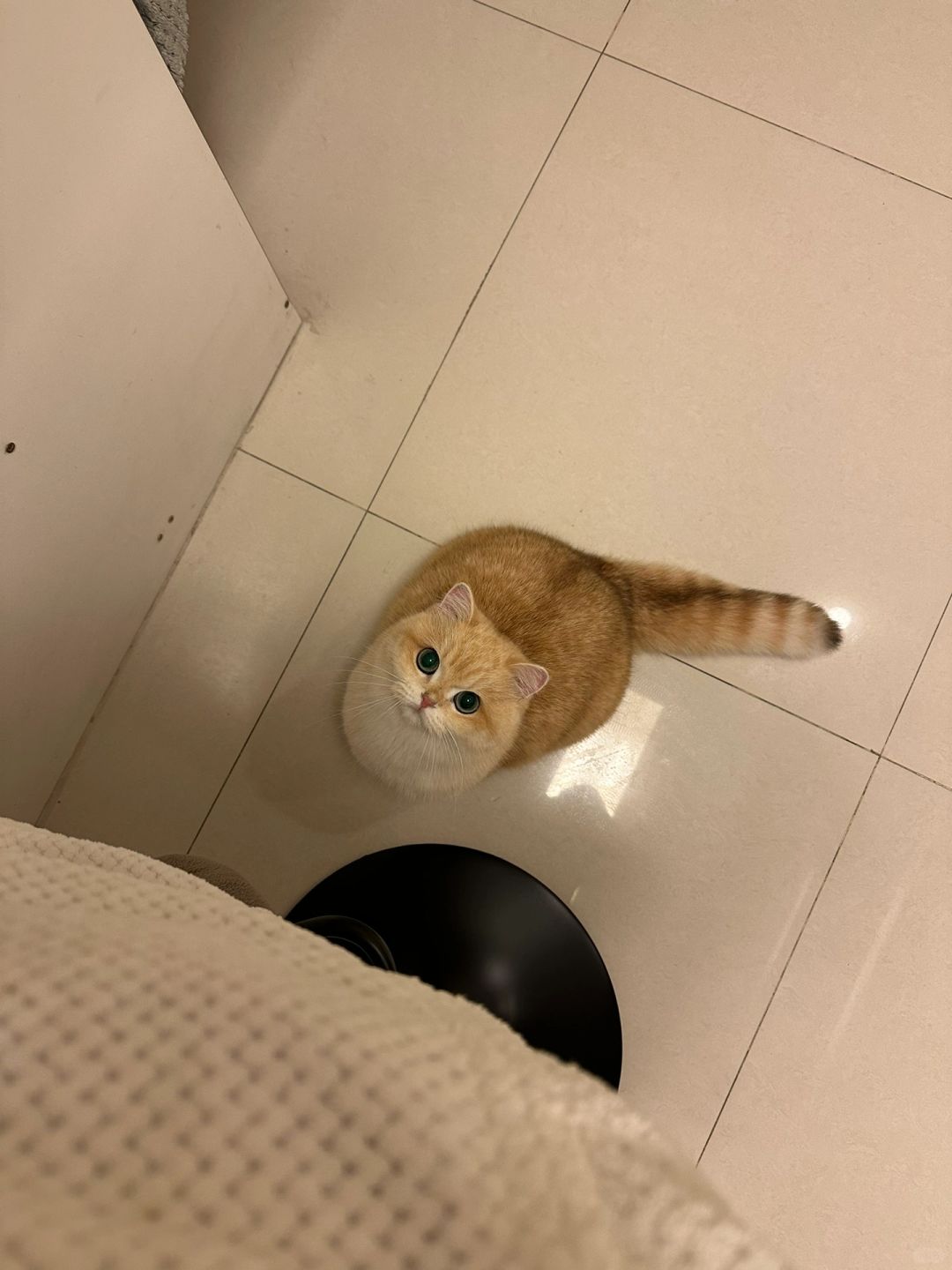 很急，很怕我偷吃