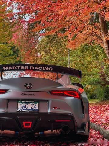 漂亮的枫叶配顶帅的Supra，秋天就要这么过！