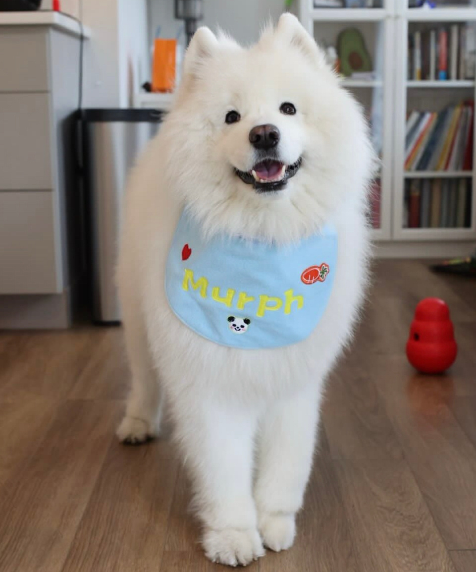 你回来啦，想吃什么我给你做 