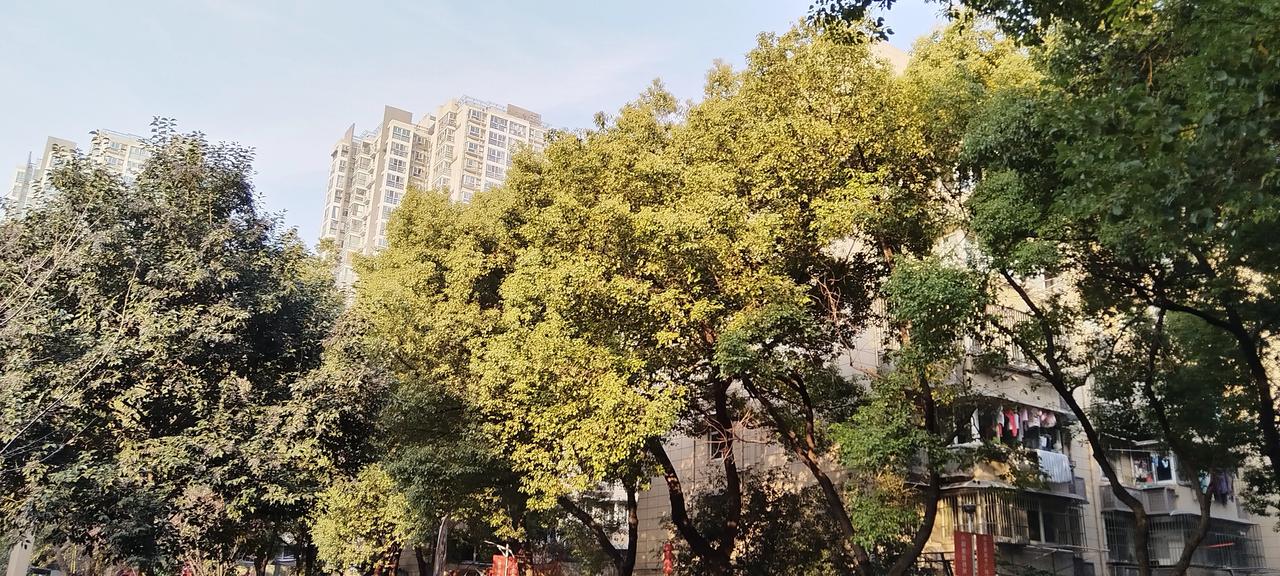 分享一张相册里随手拍的天空