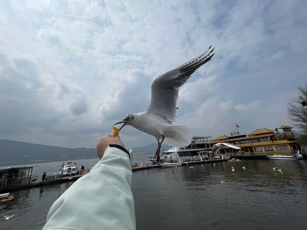 真人真事：一网约车司机智擒两个国外间谍，最后两个间谍被抓！
网约车司机陈师傅真的