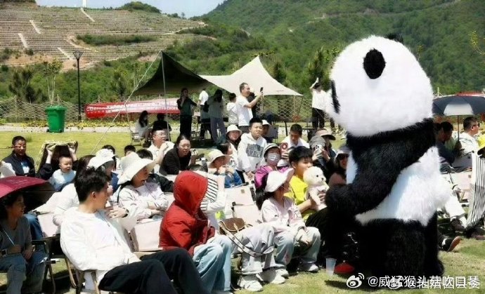 台州村支书串联多元业态让空心村变网红村村支书带头谋发展，整合文旅、农产、研学多元