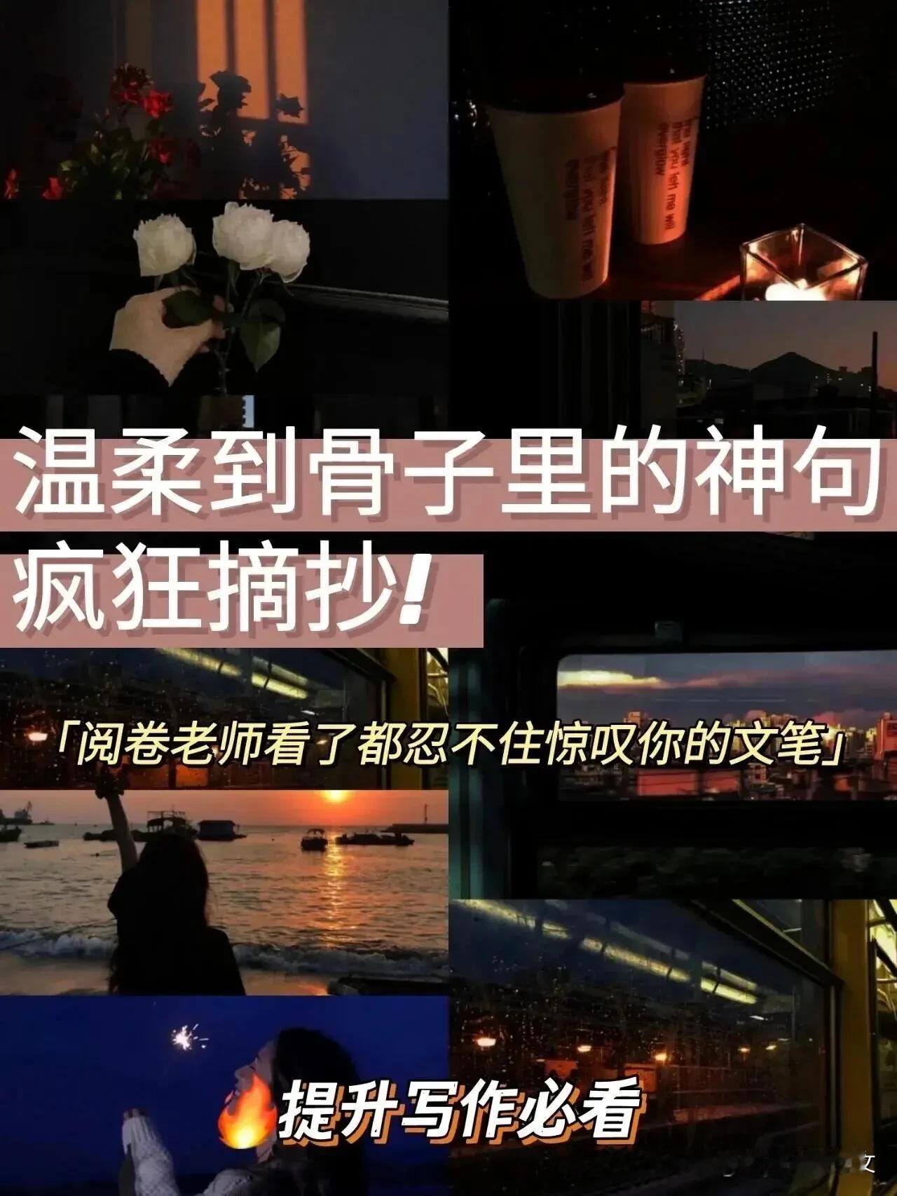 分四类摘抄合集｜温柔浪漫+通透哲理（适配你的文案笔记，自带出处，文笔高级，可直接
