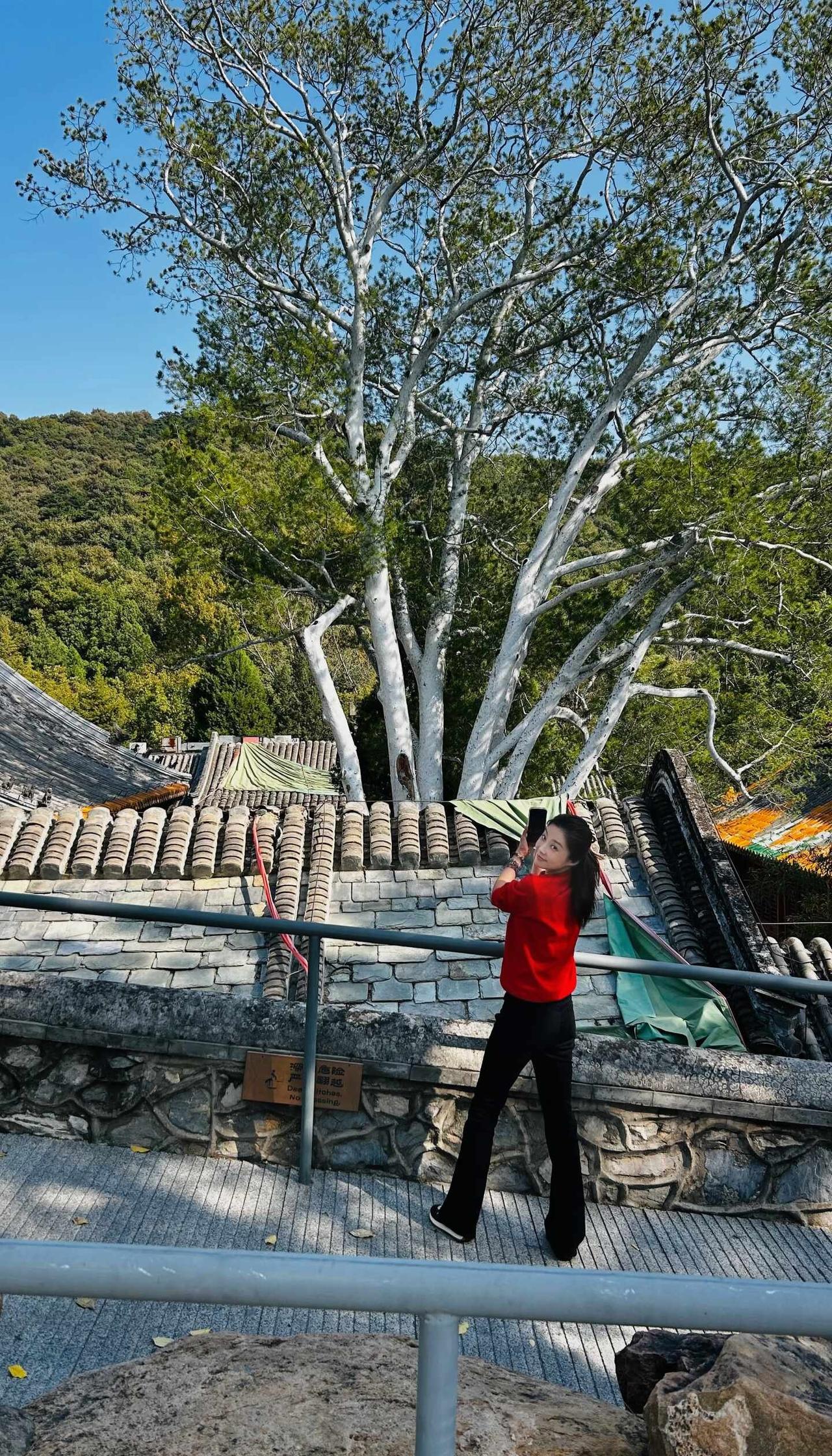 十月十日+九月初一，双喜日🧧
先有潭柘寺
后有北京城
开门红祈福
	
我在北京