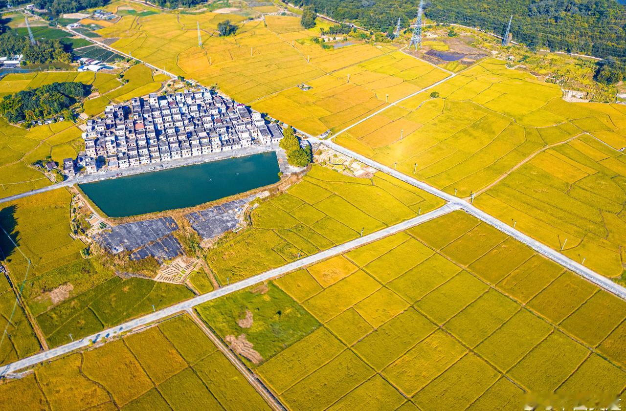 怀揣希望，开启属于自己的丰收旅程（四航局 黄锐/摄）